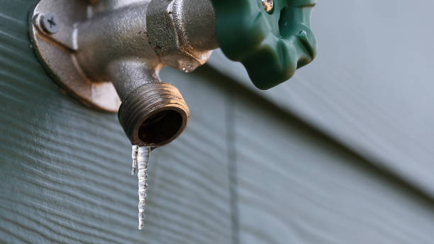 Best Plumbing Inspection Services  in Wilton Manors, FL